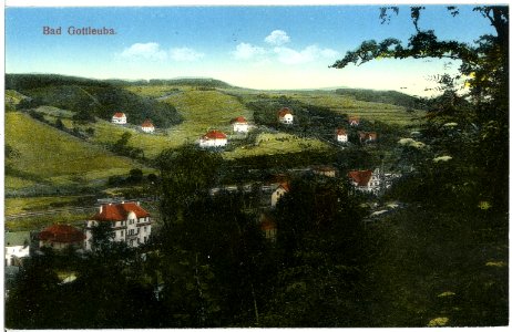 19539-Bad Gottleuba-1915-Blick auf Bad Gottleuba-Brück & Sohn Kunstverlag