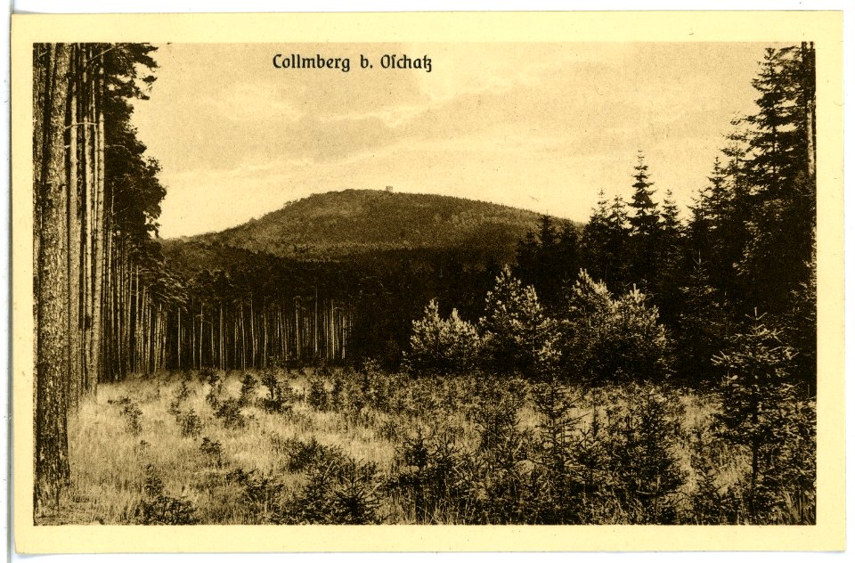 21684-Collm-1920-mit Collmberg-Brück & Sohn Kunstverlag