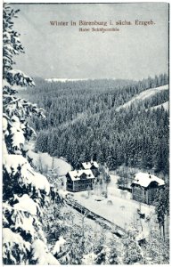 21419-Bärenburg-1919-Hotel Schäfermühle im Winter-Brück & Sohn Kunstverlag