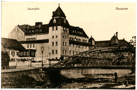 21425-Roßwein-1919-Stadtmühle und Brücke-Brück & Sohn Kunstverlag