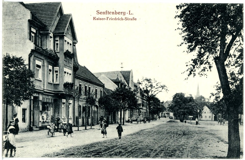 19756-Senftenberg-1915-Kaiser-Friedrich-Straße-Brück & Sohn Kunstverlag