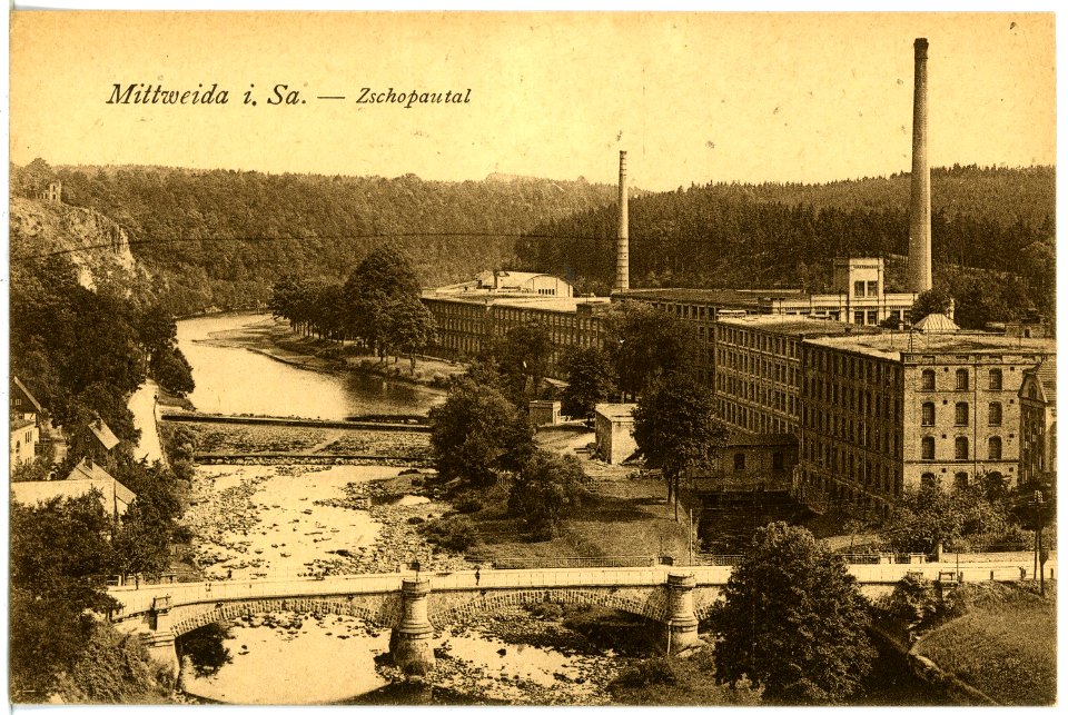 21825-Mittweida-1921-Blick ins Zschopautal-Brück & Sohn Kunstverlag