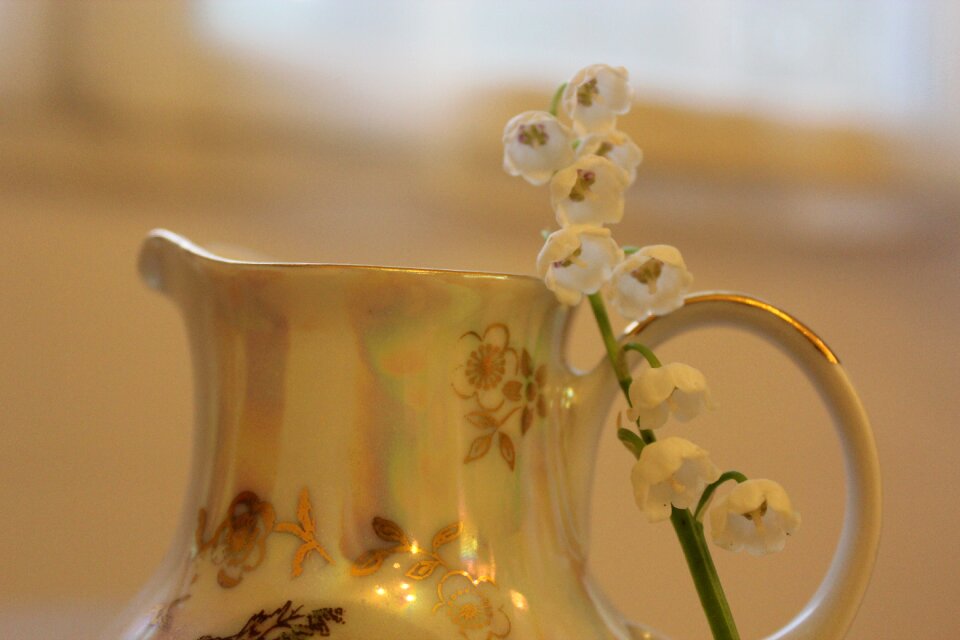 Lilies of the valley lily of the valley tableware