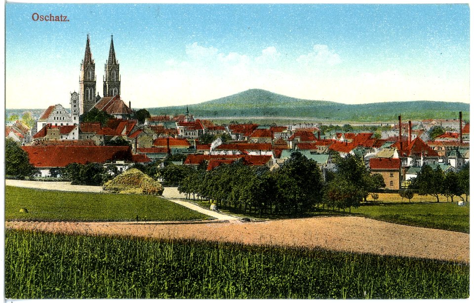 19681-Oschatz-1915-Blick auf Oschatz-Brück & Sohn Kunstverlag