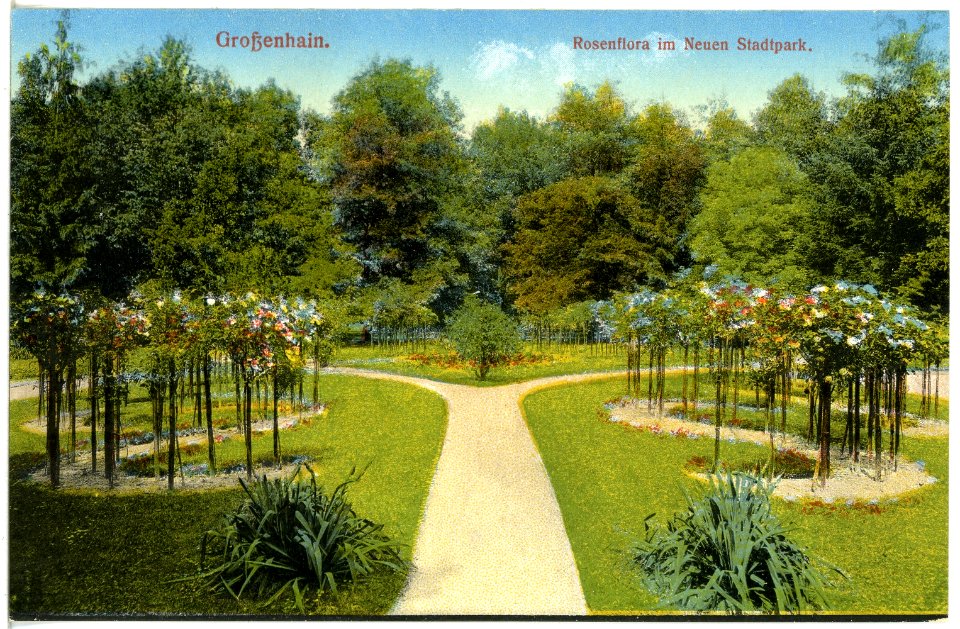 19562-Großenhain-1915-Rosenflora im neuen Stadtpark-Brück & Sohn Kunstverlag