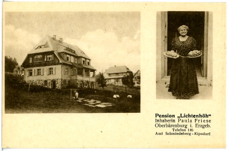 21457-Oberbärenburg-1920-Pension "Lichtenhöh"-Brück & Sohn Kunstverlag