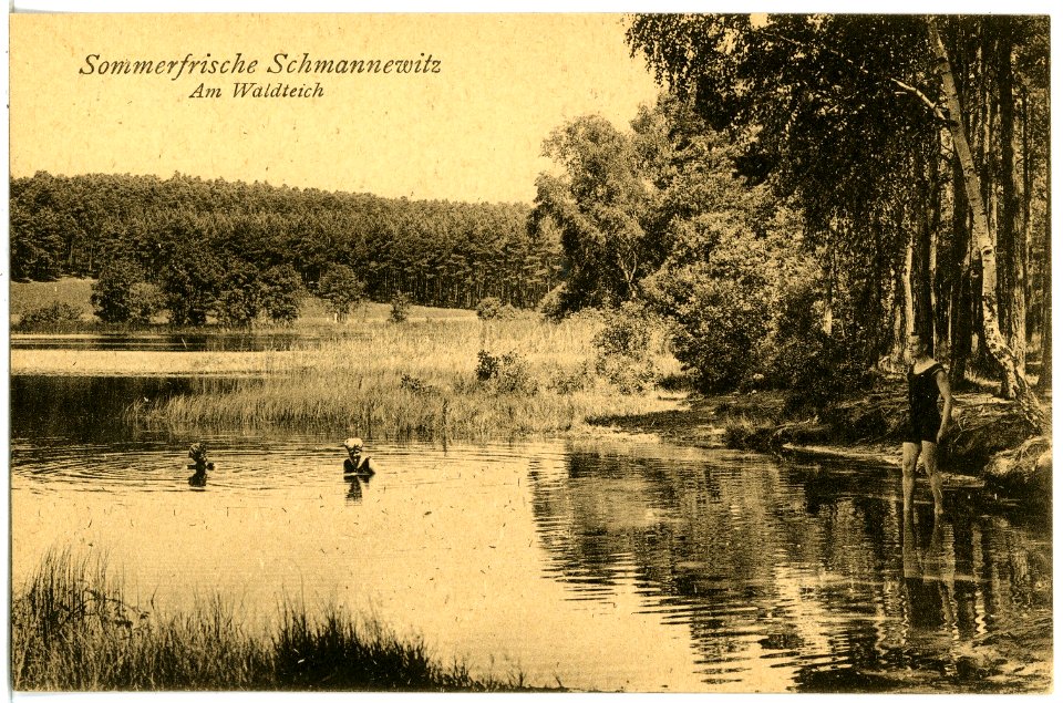 21511-Schmannewitz-1920-Am Waldteich-Brück & Sohn Kunstverlag