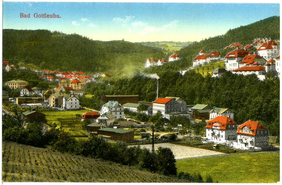 19538-Bad Gottleuba-1915-Blick auf Bad Gottleuba-Brück & Sohn Kunstverlag