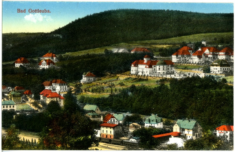 19541-Bad Gottleuba-1915-Blick auf Bad Gottleuba-Brück & Sohn Kunstverlag