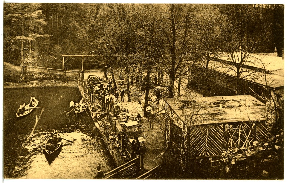 21697-Gohlis (Niederau)-1920-Buschmühle-Brück & Sohn Kunstverlag