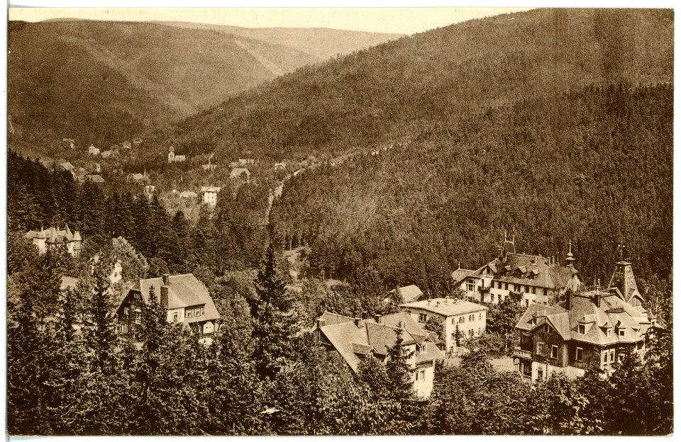 21436-Bärenfels-1920-Blick auf Bärenfels und Kipsdorf-Brück & Sohn Kunstverlag