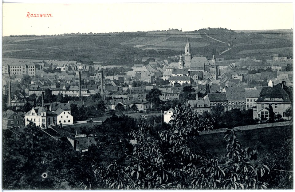 19802-Roßwein-1915-Blick auf Roßwein-Brück & Sohn Kunstverlag