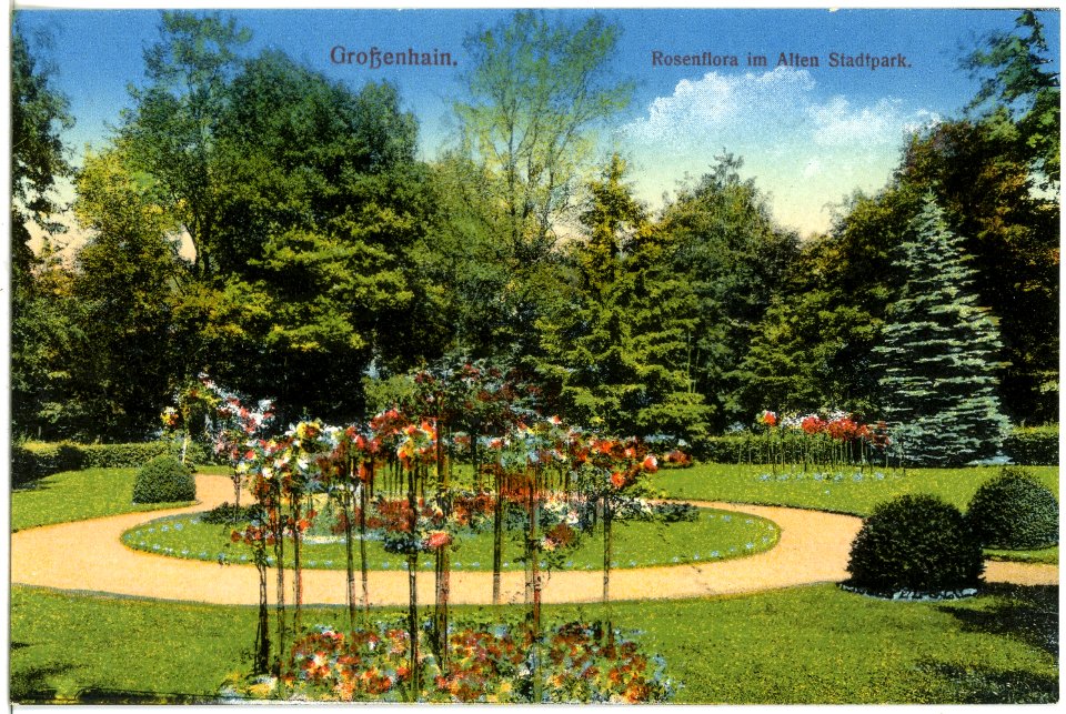 19561-Großenhain-1915-Rosenflora im alten Stadtpark-Brück & Sohn Kunstverlag