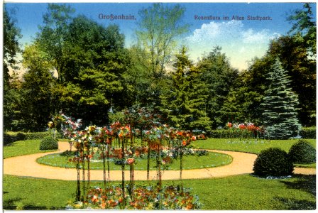 19561-Großenhain-1915-Rosenflora im alten Stadtpark-Brück & Sohn Kunstverlag