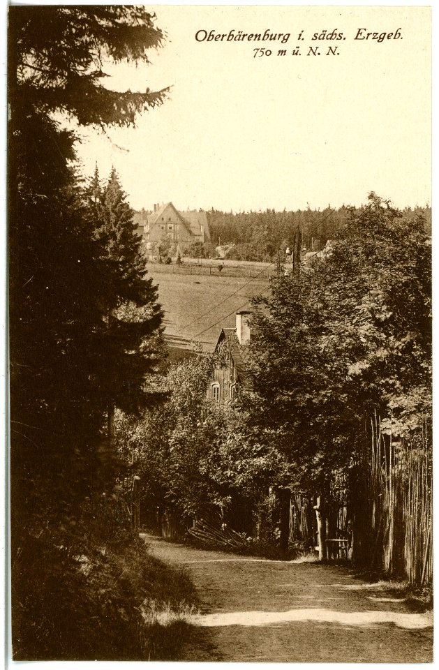 21438-Oberbärenburg-1920-Blick auf Oberbärenburg-Brück & Sohn Kunstverlag