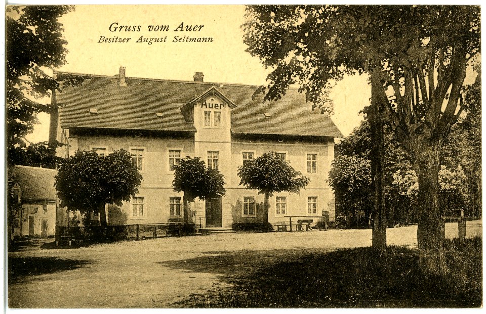 21540-Moritzburg-1920-Auer-Brück & Sohn Kunstverlag