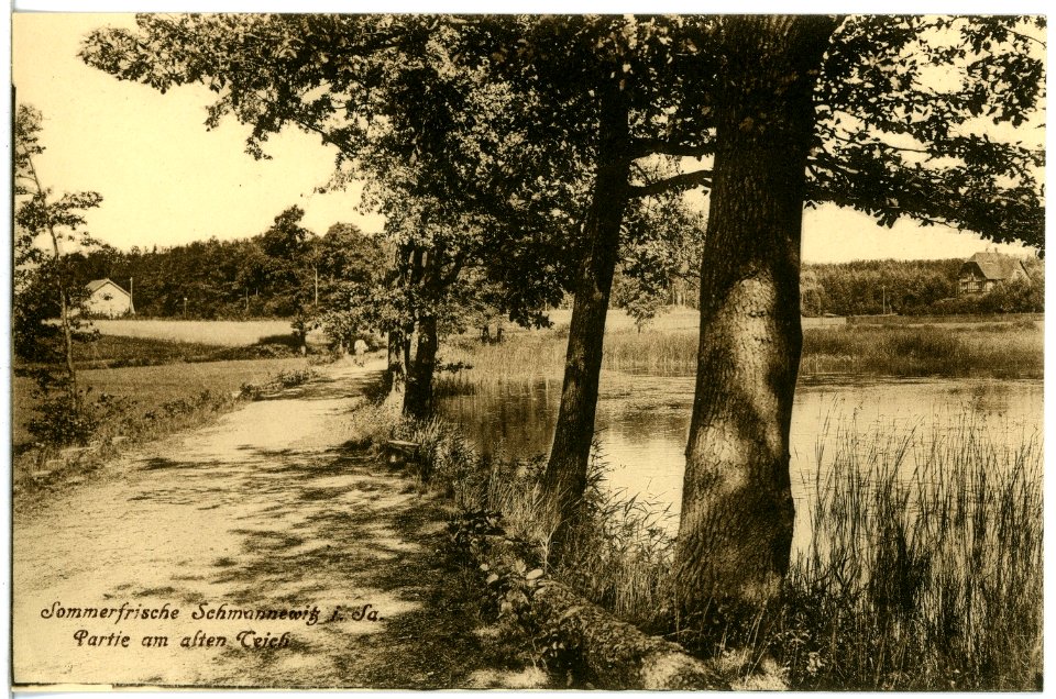 21516-Schmannewitz-1920-Partie am alten Teich-Brück & Sohn Kunstverlag