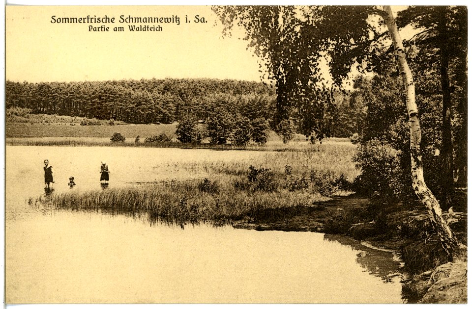 21513-Schmannewitz-1920-Partie am Waldteich-Brück & Sohn Kunstverlag