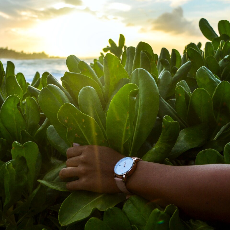 Hands watch sunset