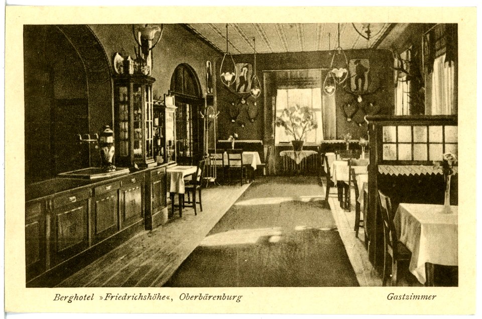 20742-Oberbärenburg-1917-Berghotel Friedrichshöhe-Brück & Sohn Kunstverlag