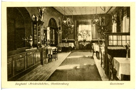 20742-Oberbärenburg-1917-Berghotel Friedrichshöhe-Brück & Sohn Kunstverlag