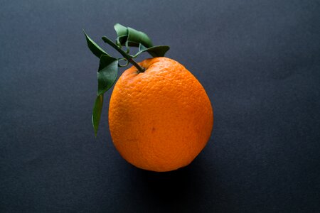 Orange growing fresh photo
