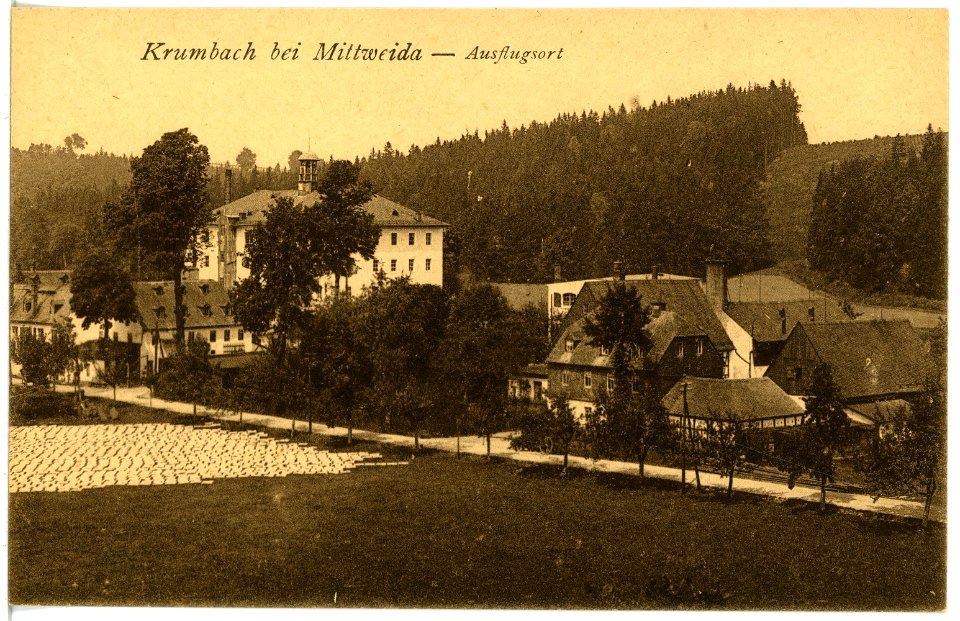 21835-Krumbach-1921-Blick auf Krumbach-Brück & Sohn Kunstverlag