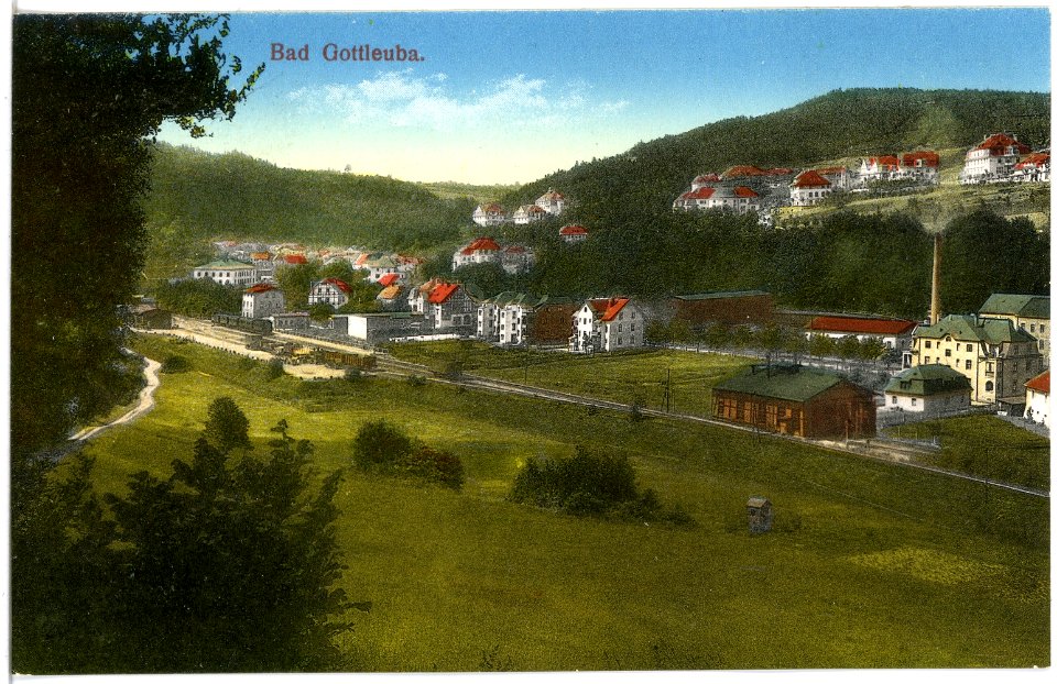 19537-Bad Gottleuba-1915-Blick auf Bad Gottleuba-Brück & Sohn Kunstverlag