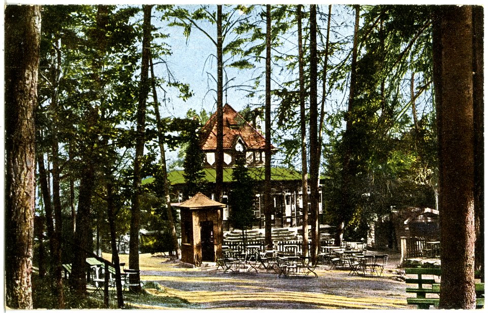 21499-Bad Elster-1920-Waldquelle-Brück & Sohn Kunstverlag