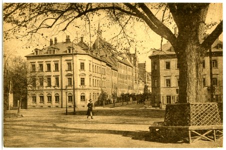 21612-Freiberg-1920-Peterstraße-Brück & Sohn Kunstverlag