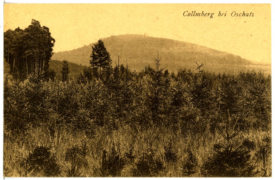 21683-Collm-1920-mit Collmberg-Brück & Sohn Kunstverlag