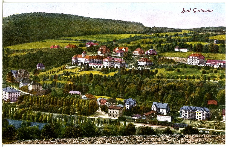 21503-Bad Gottleuba-1920-Blick auf Bad Gottleuba-Brück & Sohn Kunstverlag