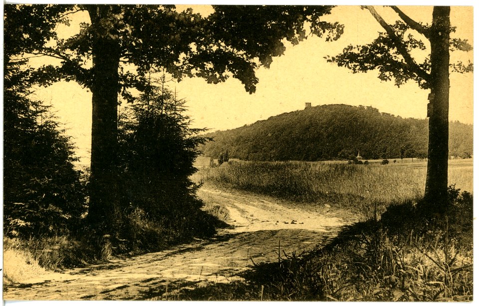 21543-Collm-1920-mit Collmberg-Brück & Sohn Kunstverlag