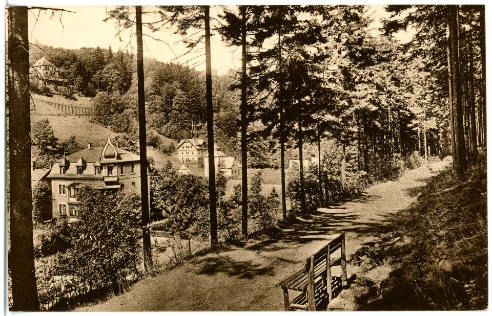 21446-Kipsdorf-1920-Blick auf Kipsdorf-Brück & Sohn Kunstverlag