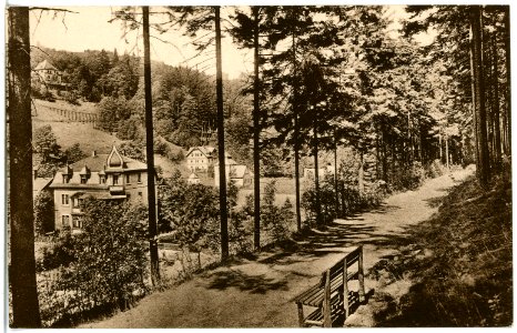 21446-Kipsdorf-1920-Blick auf Kipsdorf-Brück & Sohn Kunstverlag