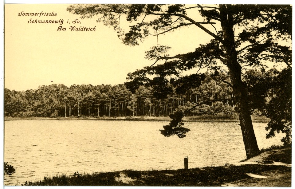 21514-Schmannewitz-1920-Am Waldteich-Brück & Sohn Kunstverlag