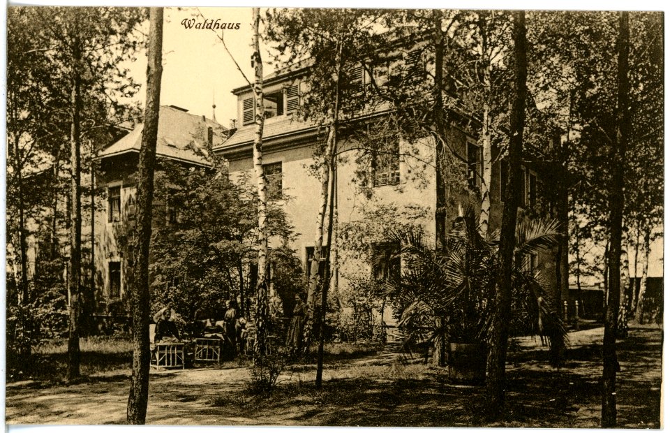 21716-Coswig-1920-Heilstädte Lindenhof, Waldhaus-Brück & Sohn Kunstverlag
