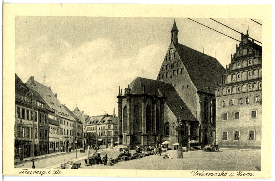 21489-Freiberg-1920-Untermarkt und Dom-Brück & Sohn Kunstverlag