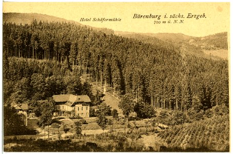 21451-Bärenburg-1920-Hotel Schäfermühle-Brück & Sohn Kunstverlag