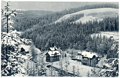 21420-Bärenburg-1919-Hotel Schäfermühle im Winter-Brück & Sohn Kunstverlag