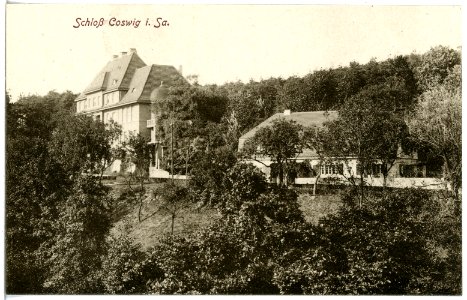 20656-Coswig-1917-Schloß-Brück & Sohn Kunstverlag
