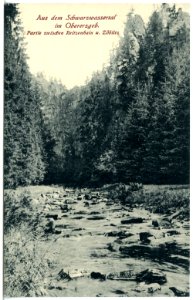 21067-Schwarzwassertal-1918-Zwischen Reitzenhain und Zöblitz-Brück & Sohn Kunstverlag