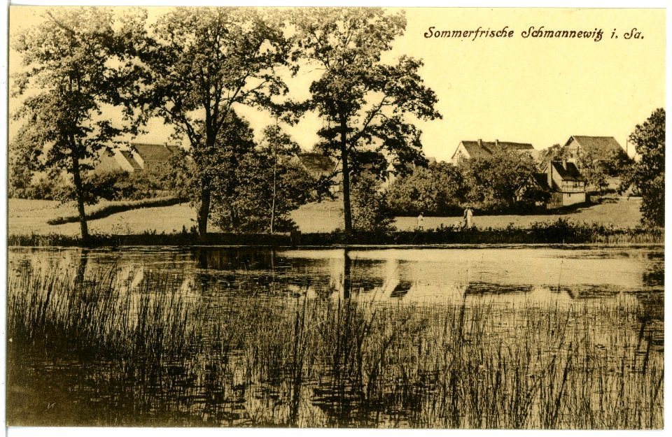 21519-Schmannewitz-1920-Teich-Brück & Sohn Kunstverlag