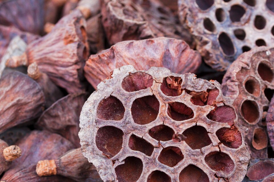Texture nature pattern