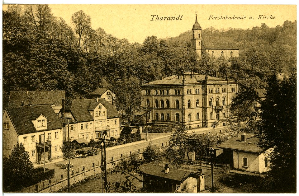 21714-Tharandt-1920-Blick auf Tharandt-Brück & Sohn Kunstverlag