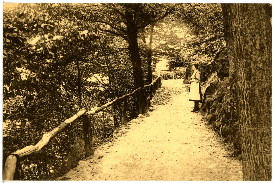 21848-Mittweida-1921-Stadtpark-Brück & Sohn Kunstverlag