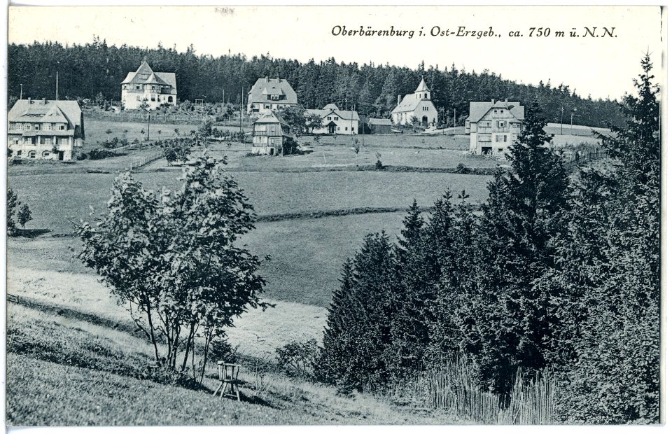 21443-Oberbärenburg-1920-Blick auf Oberbärenburg-Brück & Sohn Kunstverlag