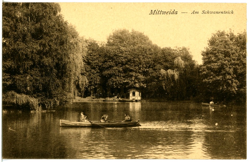 20864-Mittweida-1918-Am Schwanenteich-Brück & Sohn Kunstverlag