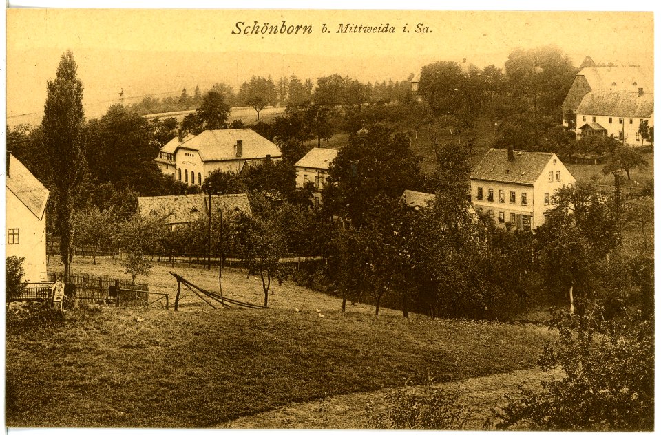 21837-Schönborn-1921-Blick auf Schönborn-Brück & Sohn Kunstverlag