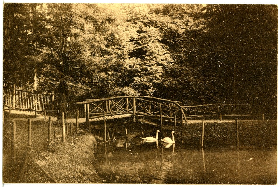 21045-Apolda-1918-Schwanenteich-Brück & Sohn Kunstverlag
